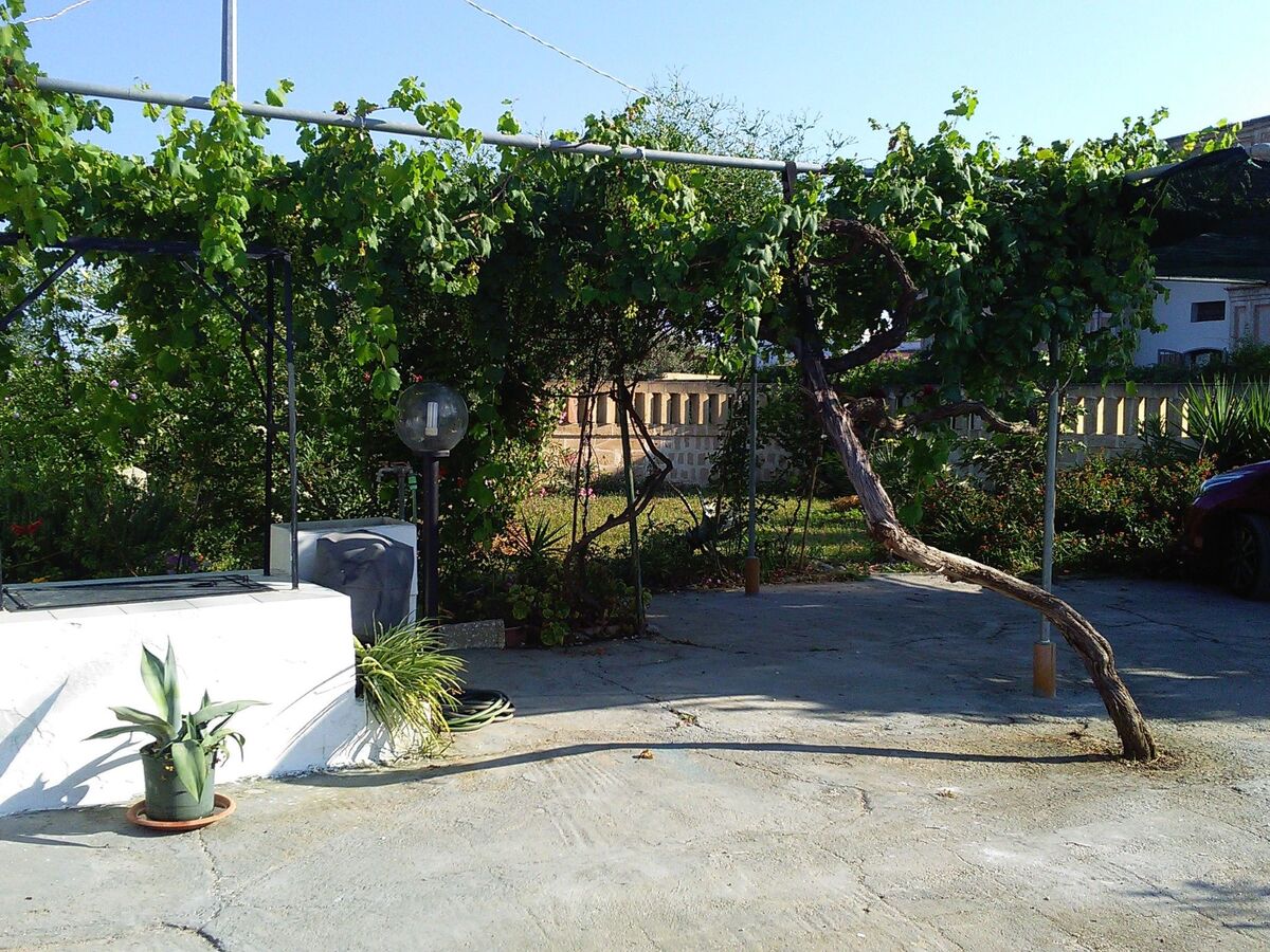 Villa 8 pers. avec grand jardin fruitier à Matino - Photo 7