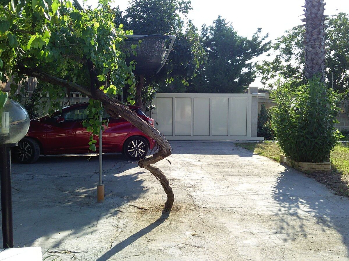 Villa 8 pers. avec grand jardin fruitier à Matino - Photo 9