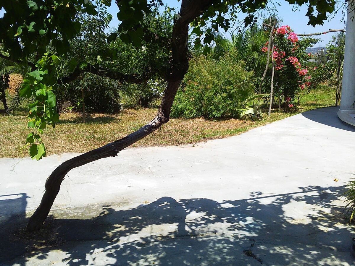 Villa 8 pers. avec grand jardin fruitier à Matino - Photo 10