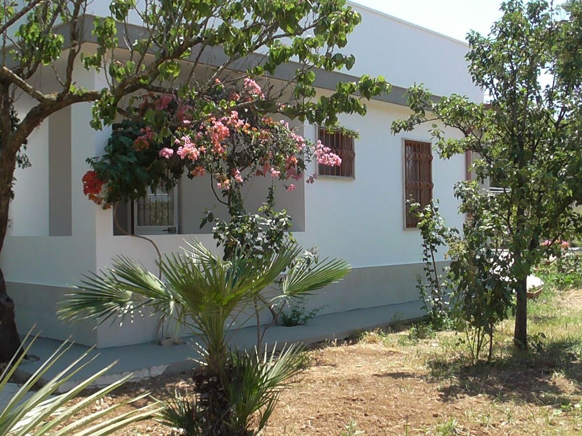 Villa 8 pers. avec grand jardin fruitier à Matino - Photo 11