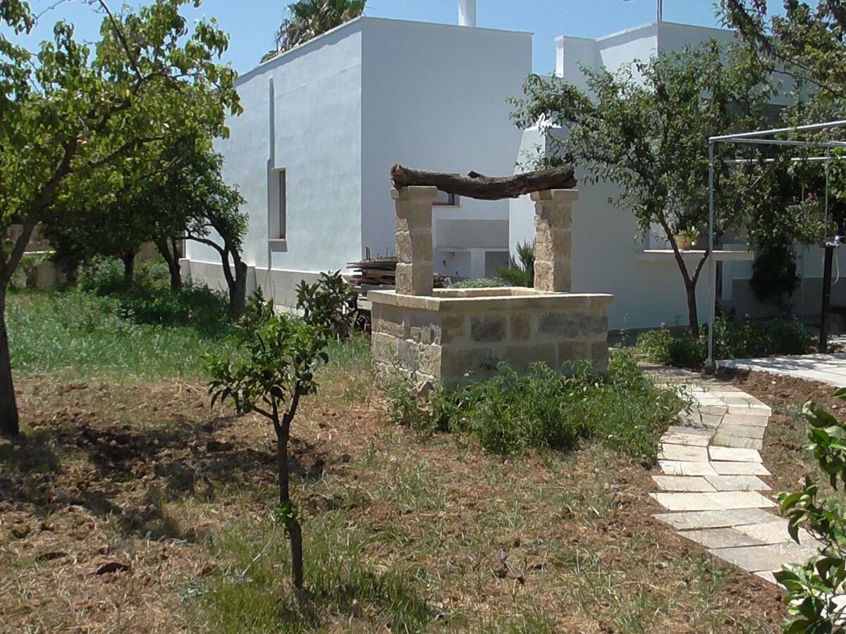 Villa 8 pers. avec grand jardin fruitier à Matino - Photo 12