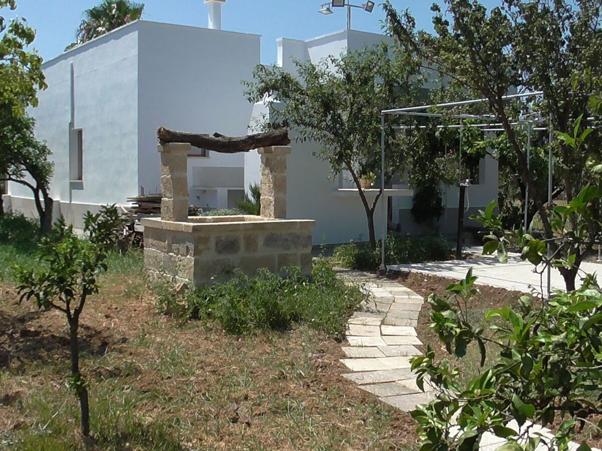 Villa 8 pers. avec grand jardin fruitier à Matino - Photo 13