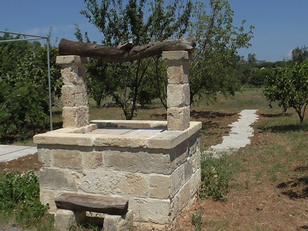 Villa 8 pers. avec grand jardin fruitier à Matino - Photo 14