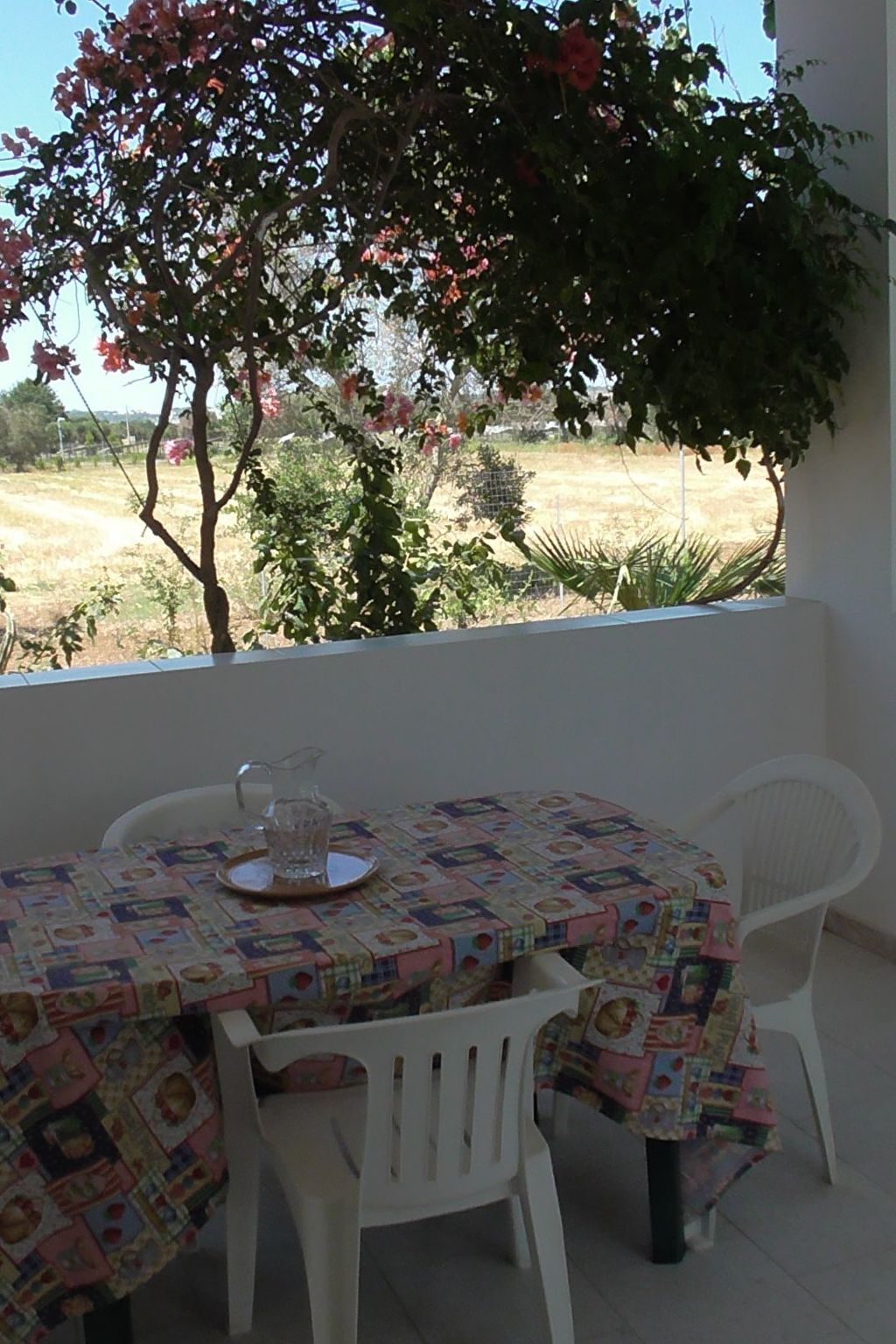Villa 8 pers. avec grand jardin fruitier à Matino - Photo 18