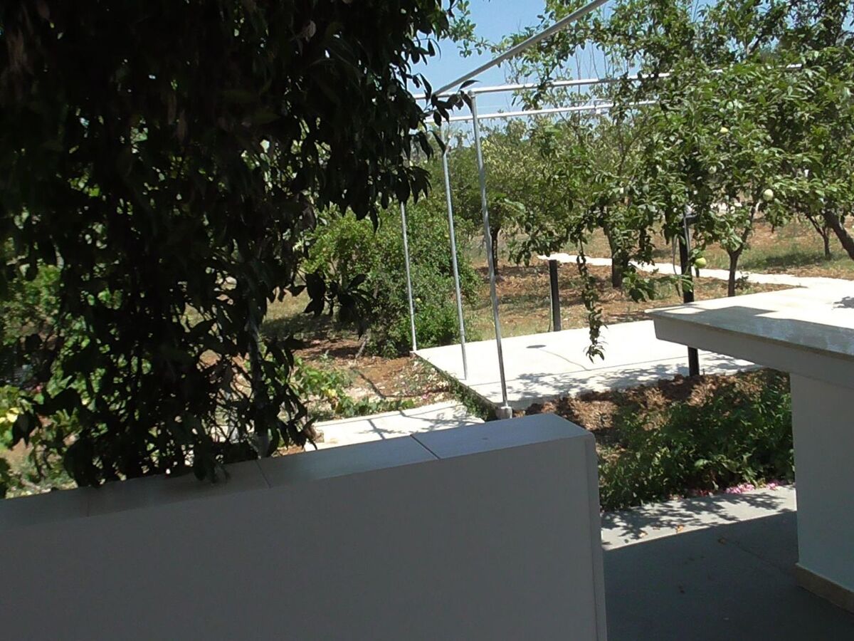 Villa 8 pers. avec grand jardin fruitier à Matino - Photo 20