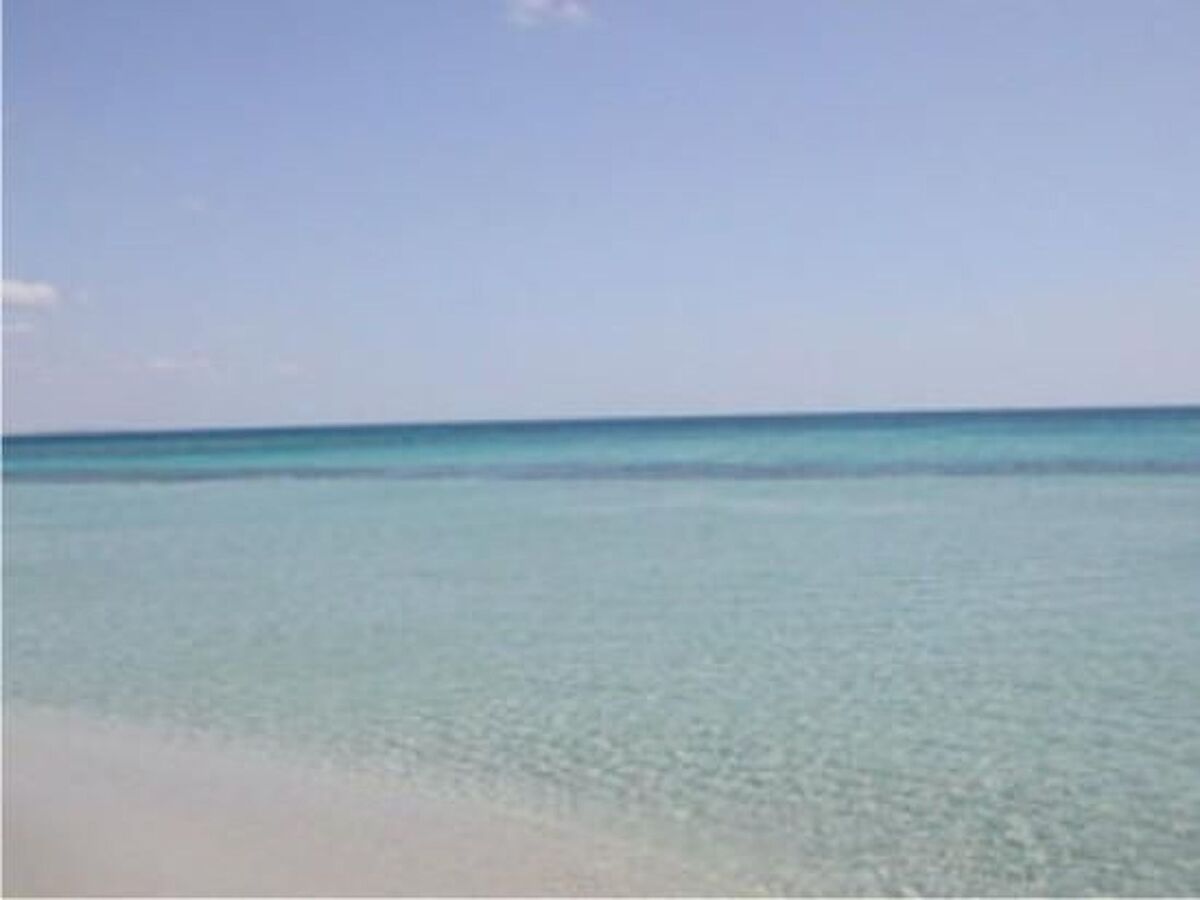 Appartement Villetta Oleandro, 50 m de la plage à Lido Marini - Photo 22