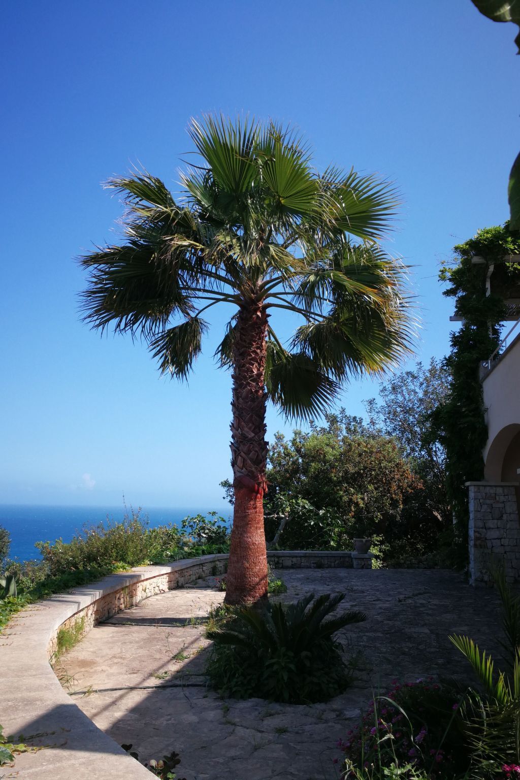 Villa avec piscine privée à Marina di Novaglie, 8 pers. - Photo 22