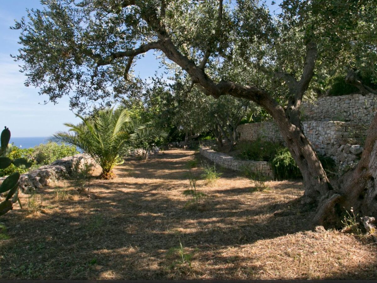 Villa avec piscine privée à Marina di Novaglie, 8 pers. - Photo 39