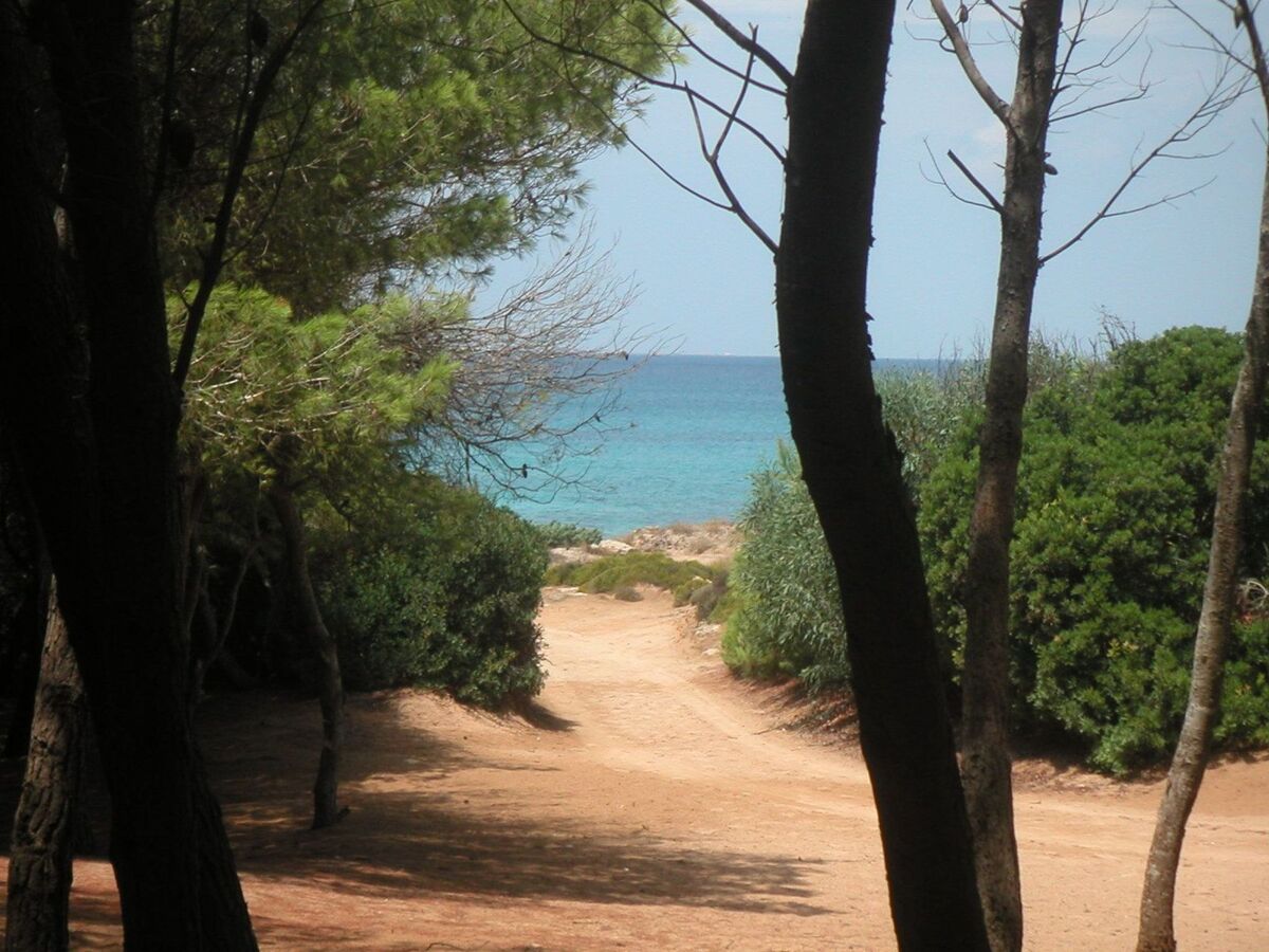 Villa avec piscine privée à Marina di Novaglie, 8 pers. - Photo 42