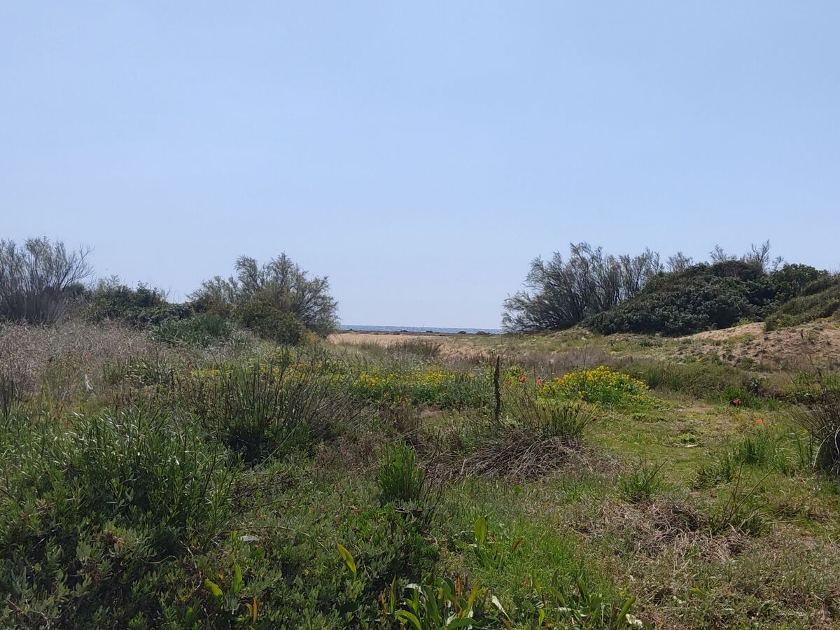 Casallende, appartement 4 pers. à 150m de la plage - Photo 17