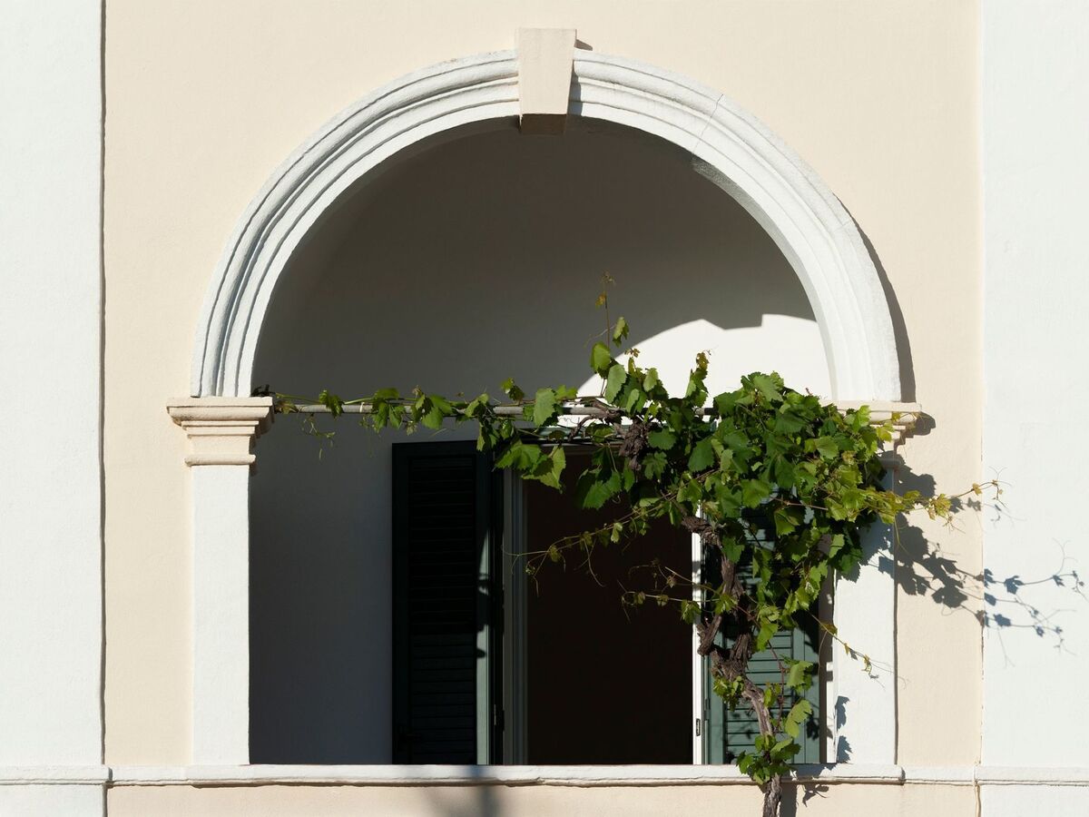 Il Pergoletto – Appartement avec pergola centenaire - Photo 3