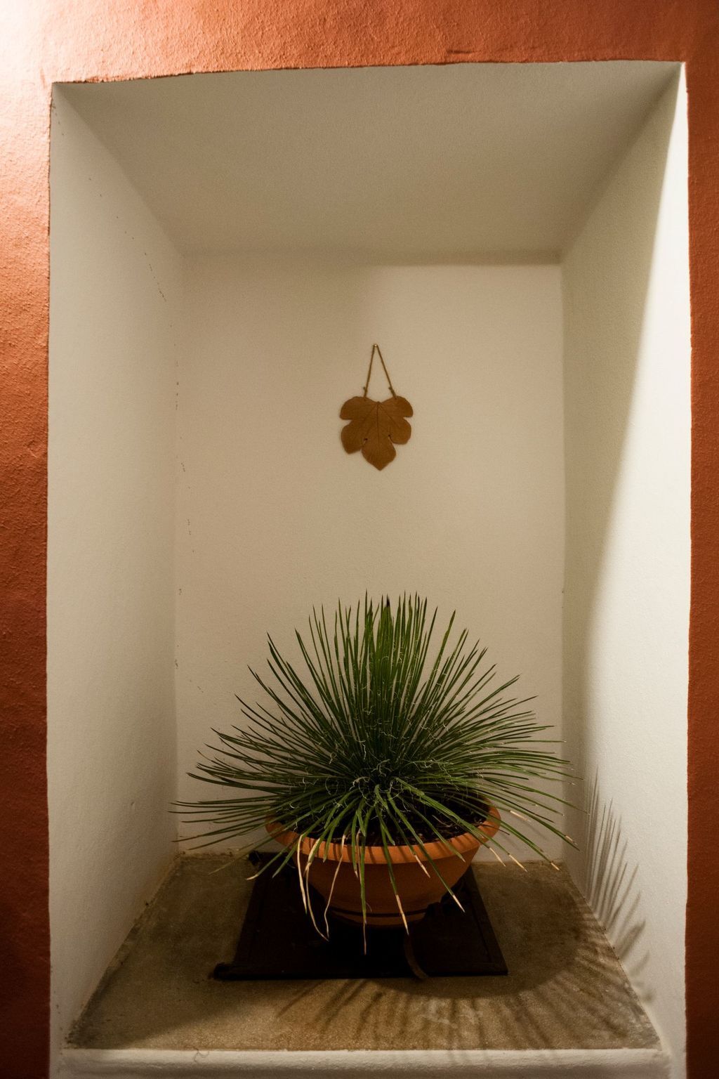 Il Pergoletto – Appartement avec pergola centenaire - Photo 34