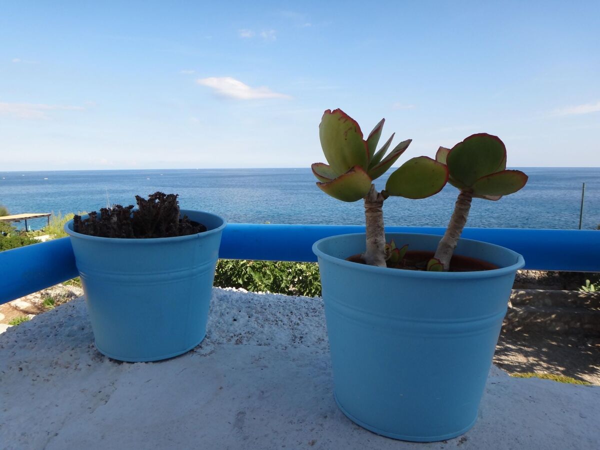 Villa Meris à Castro Marina : accès direct à la mer - Photo 21