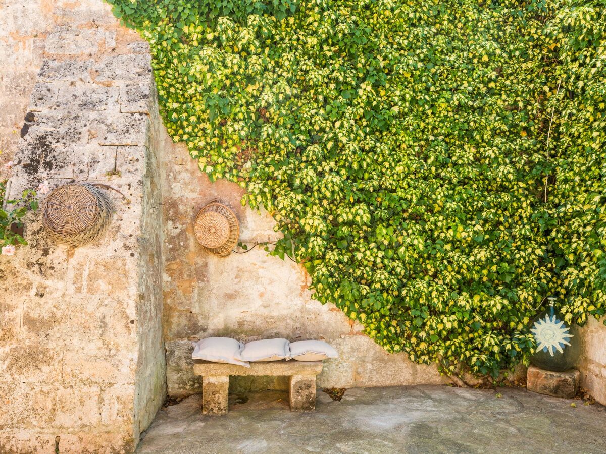 La Corte della Masseria – Appartement 6 pers. près de Torre Guaceto - Photo 25