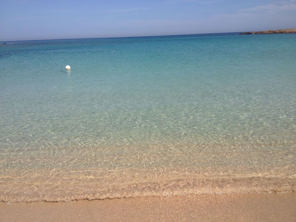 Villa Laura - Maison à 50 m de la plage à Carovigno - Photo 25