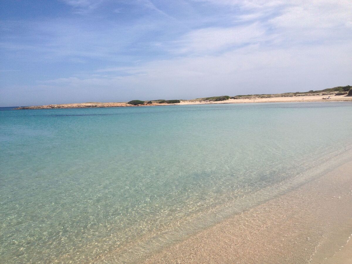 Villa Laura - Maison à 50 m de la plage à Carovigno - Photo 26