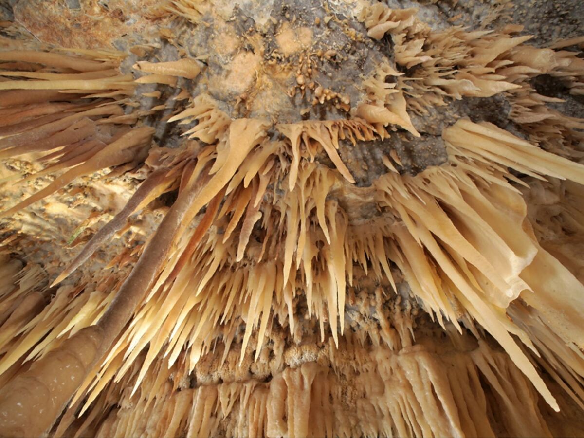 Villa Stelladali, maison 5 pers. à 100 m de la plage - Photo 45