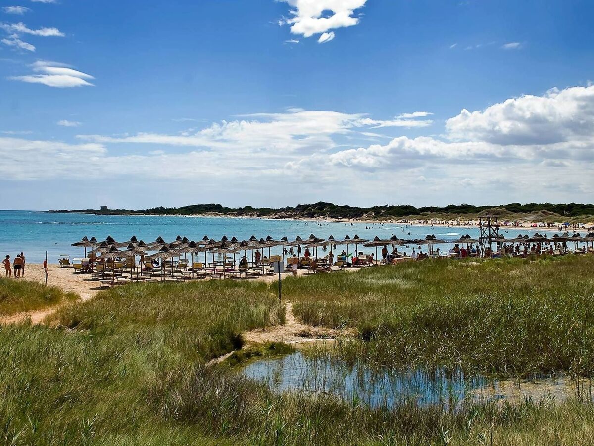 Villa Stella Cadente à Carovigno, piscine et 10 000 m² de jardin - Photo 29