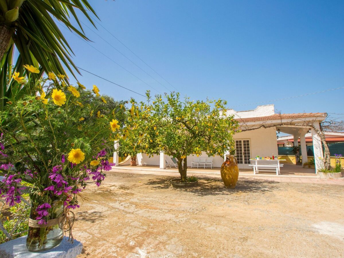 Villa Mediterranea - Maison 8 pers. aux Pouilles - Photo 2