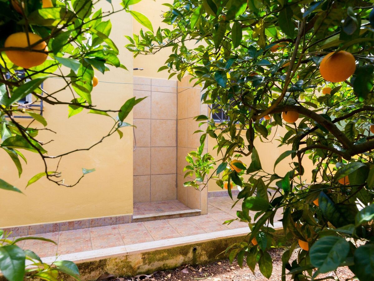 Villa Mediterranea - Maison 8 pers. aux Pouilles - Photo 22