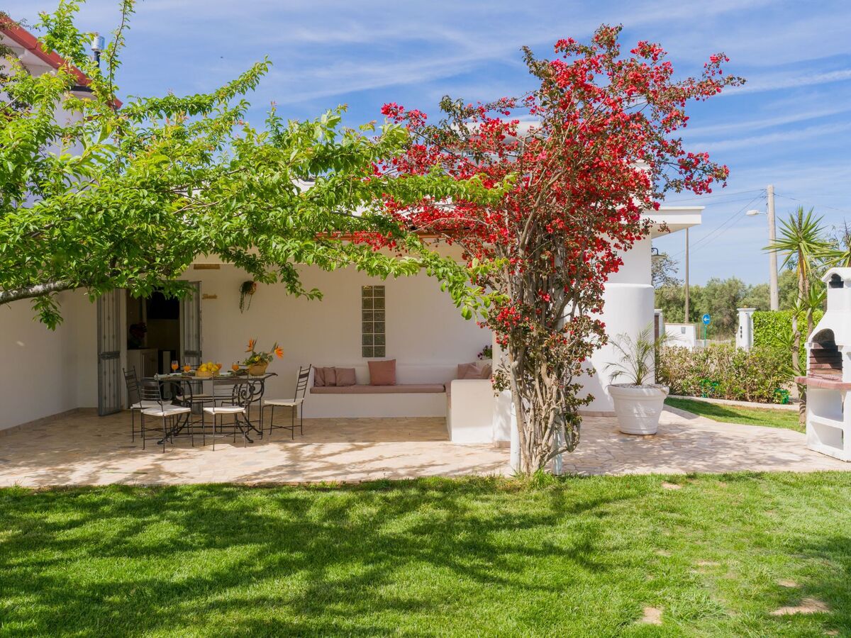 Haus Apulien Shanti – Villa 5 pers. piscine - Photo 3