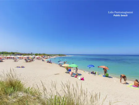 Lamia del Vespro – maison en pierre, piscine privée, Alto Salento : photo 47