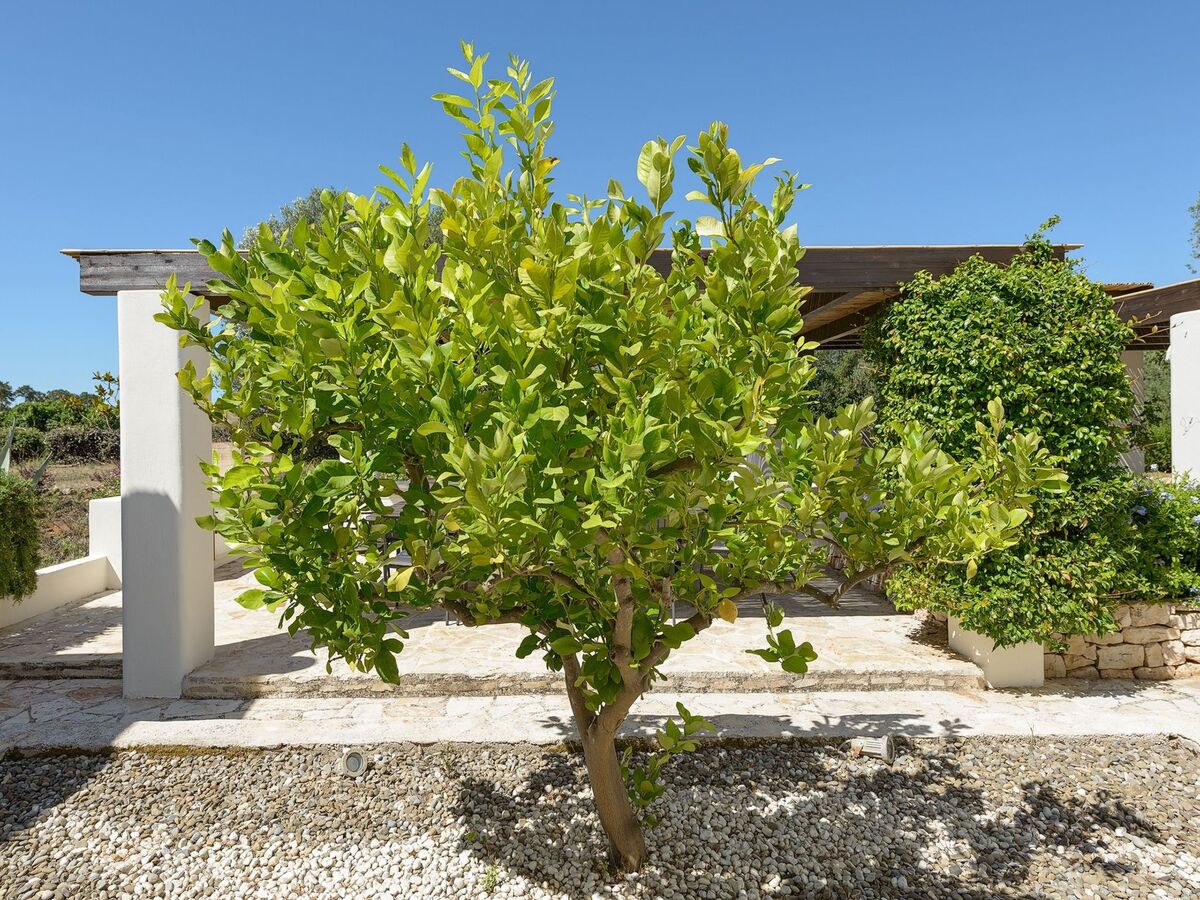 Villa Vesta 5 chambres avec piscine chauffée à Ostuni - Photo 16
