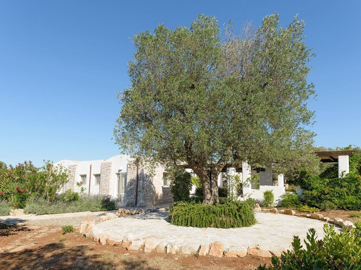 Villa Vesta 5 chambres avec piscine chauffée à Ostuni - Photo 38