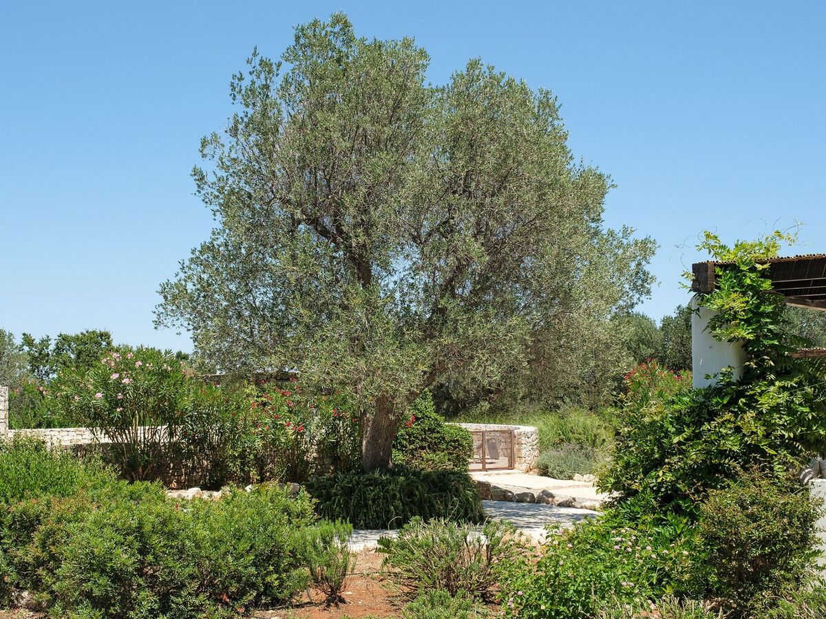 Villa Vesta 5 chambres avec piscine chauffée à Ostuni - Photo 47