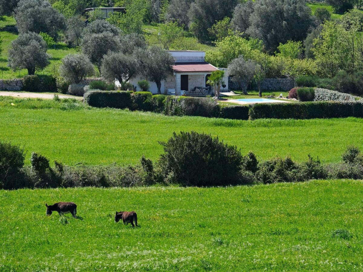 Lamia authentique à Ostuni, piscine privée et vallée - Photo 9