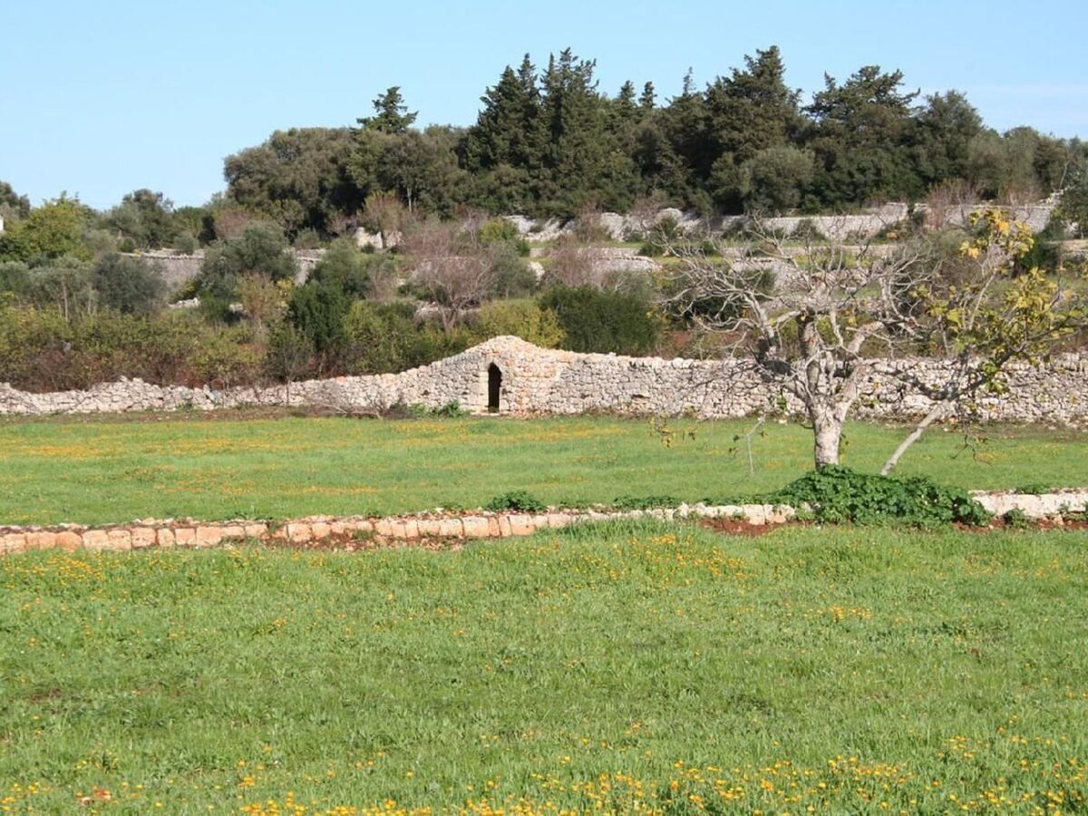 Lamia authentique à Ostuni, piscine privée et vallée - Photo 21