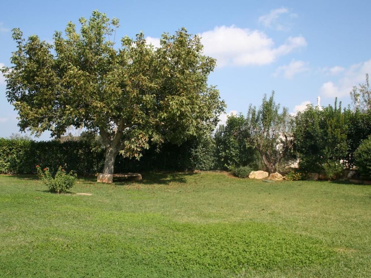 Villa with Private Pool in Ostuni Countryside - Photo 9
