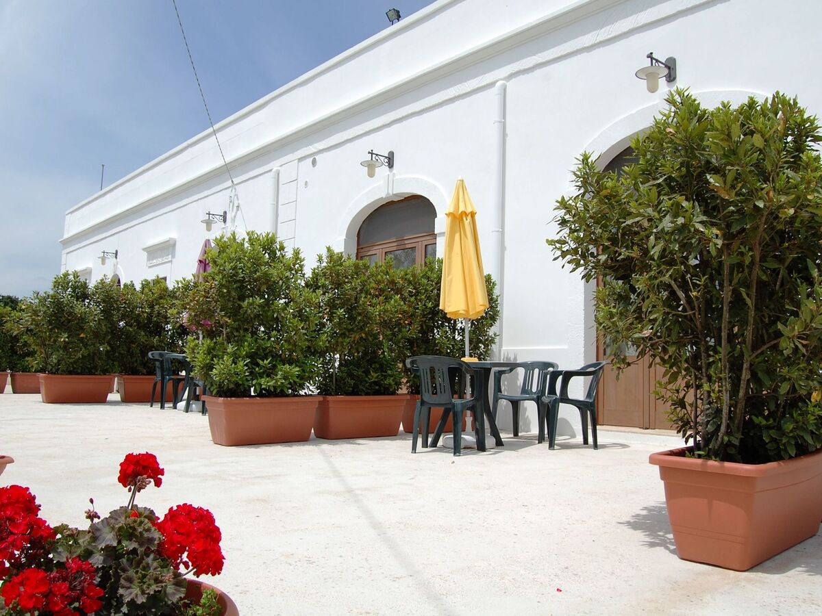 Giallo, studio avec piscine à Cisternino - Photo 1
