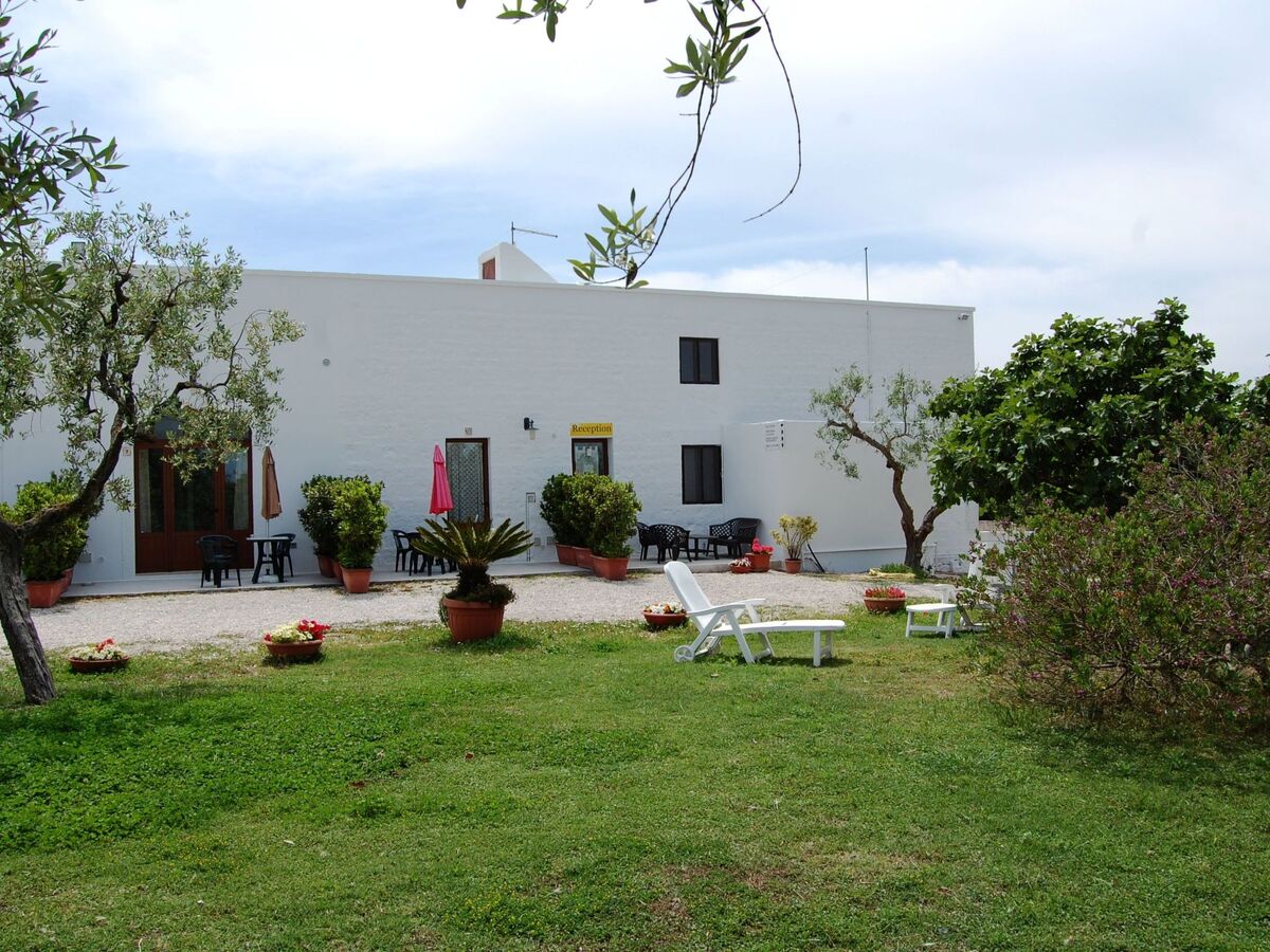Azzurro, mini-appartement rural à Cisternino - Photo 6