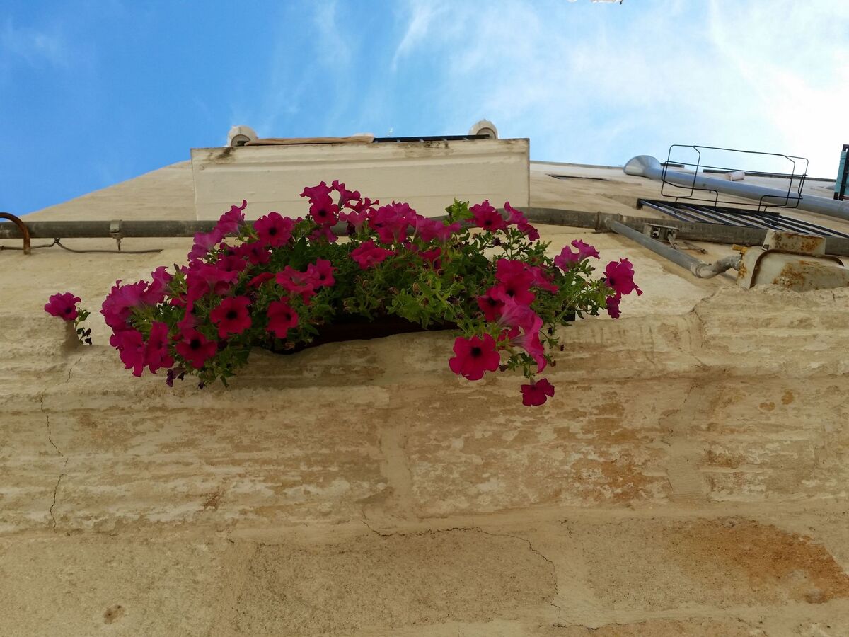 Appartement restauré dans la tour du Borgo Antico à Monopoli - Photo 21