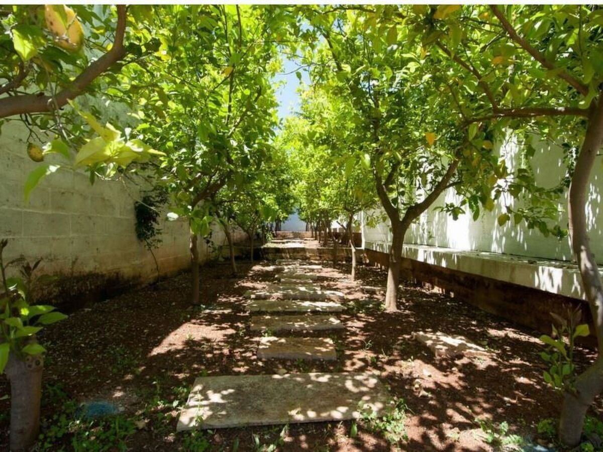 Villa Cristo Re, 6 chambres avec piscine privée à Monopoli - Photo 14