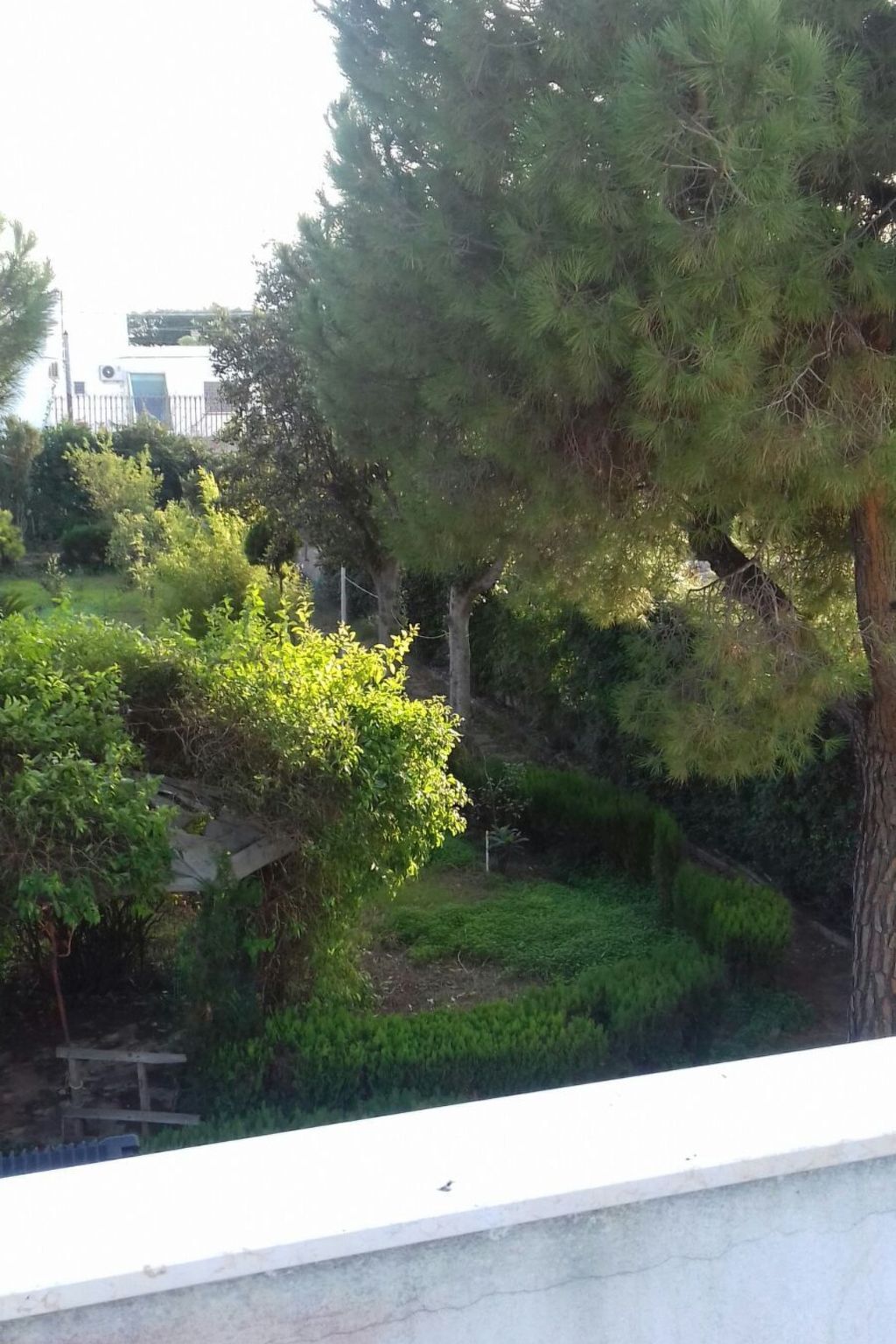 Villa Alma : maison 6 pers. à 700 m de la plage, Bari - Photo 37
