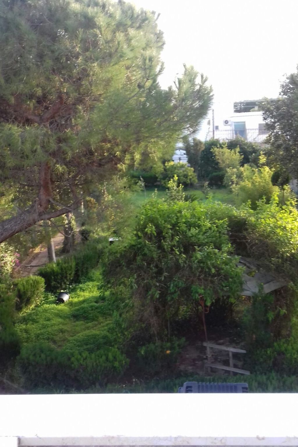 Villa Alma : maison 6 pers. à 700 m de la plage, Bari - Photo 38