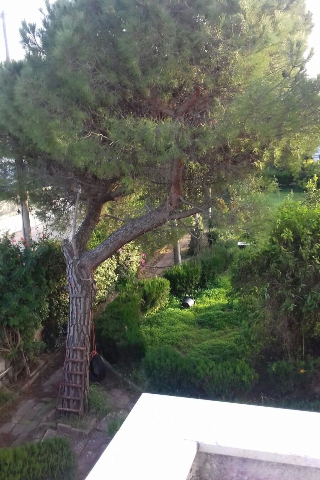 Villa Alma : maison 6 pers. à 700 m de la plage, Bari - Photo 39