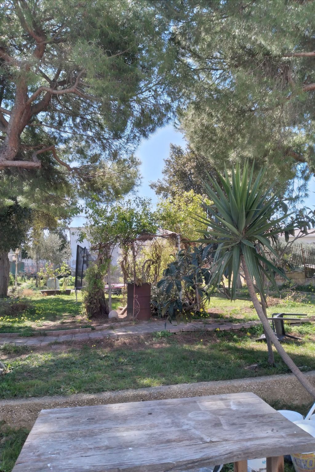 Villa Alma : maison 6 pers. à 700 m de la plage, Bari - Photo 42