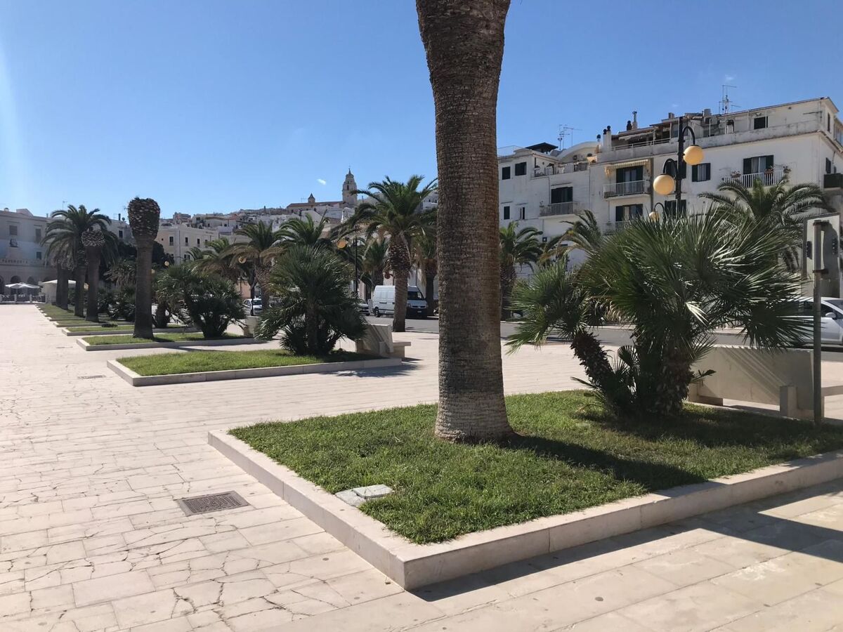 Studio 28 m² à Vieste, 150 m de la plage - Photo 7