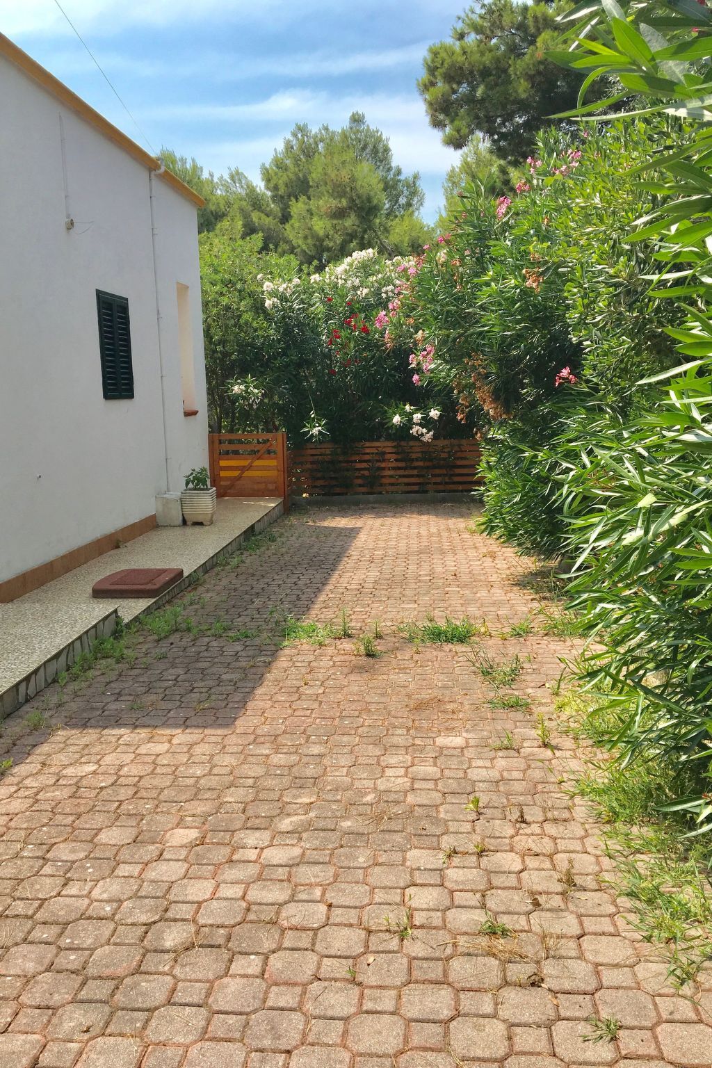 Bungalow Carla 4 pers. avec veranda et jardin à Vieste - Photo 19
