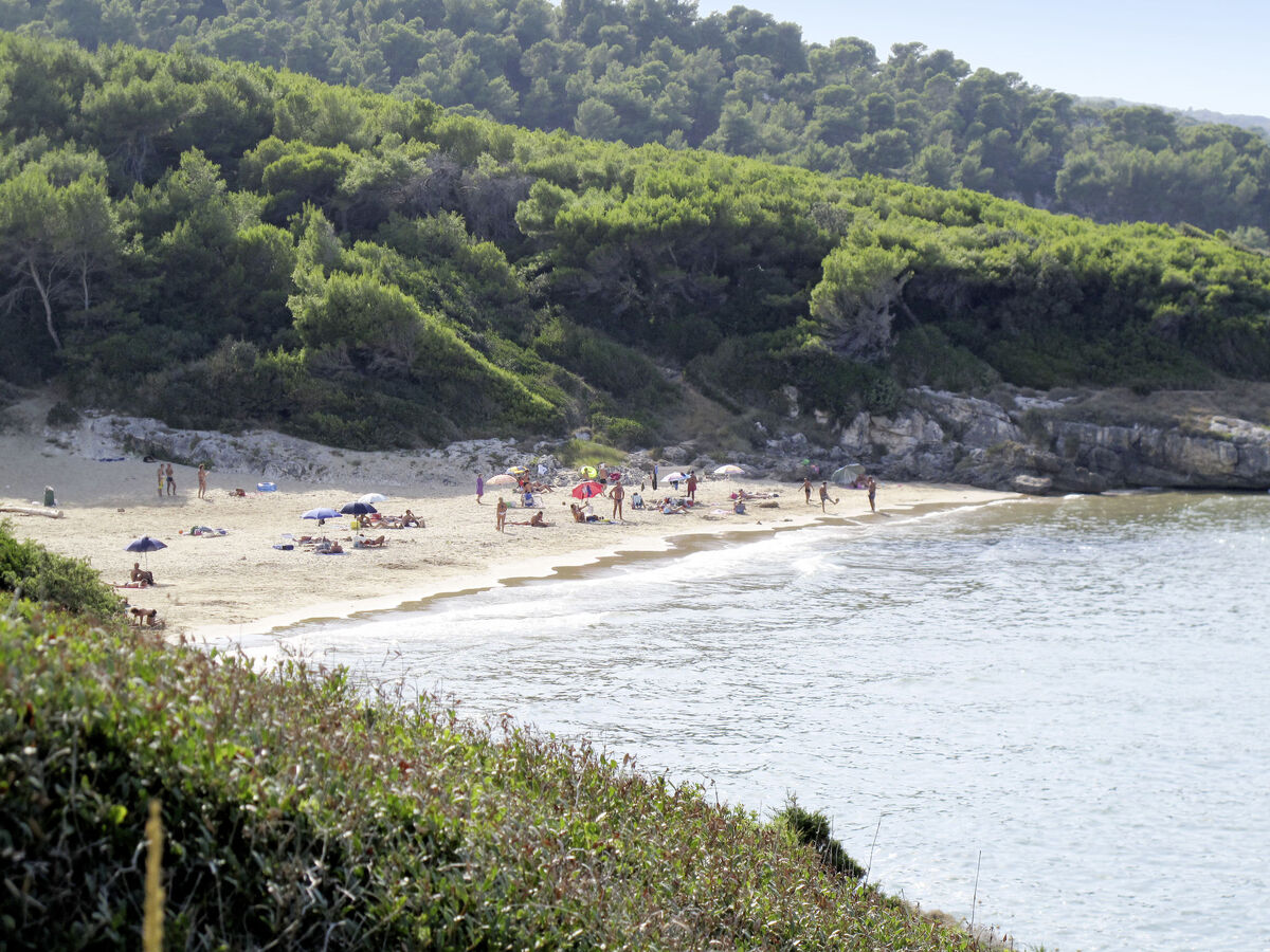 Bungalow à 500 m de la plage à Vieste - Photo 19