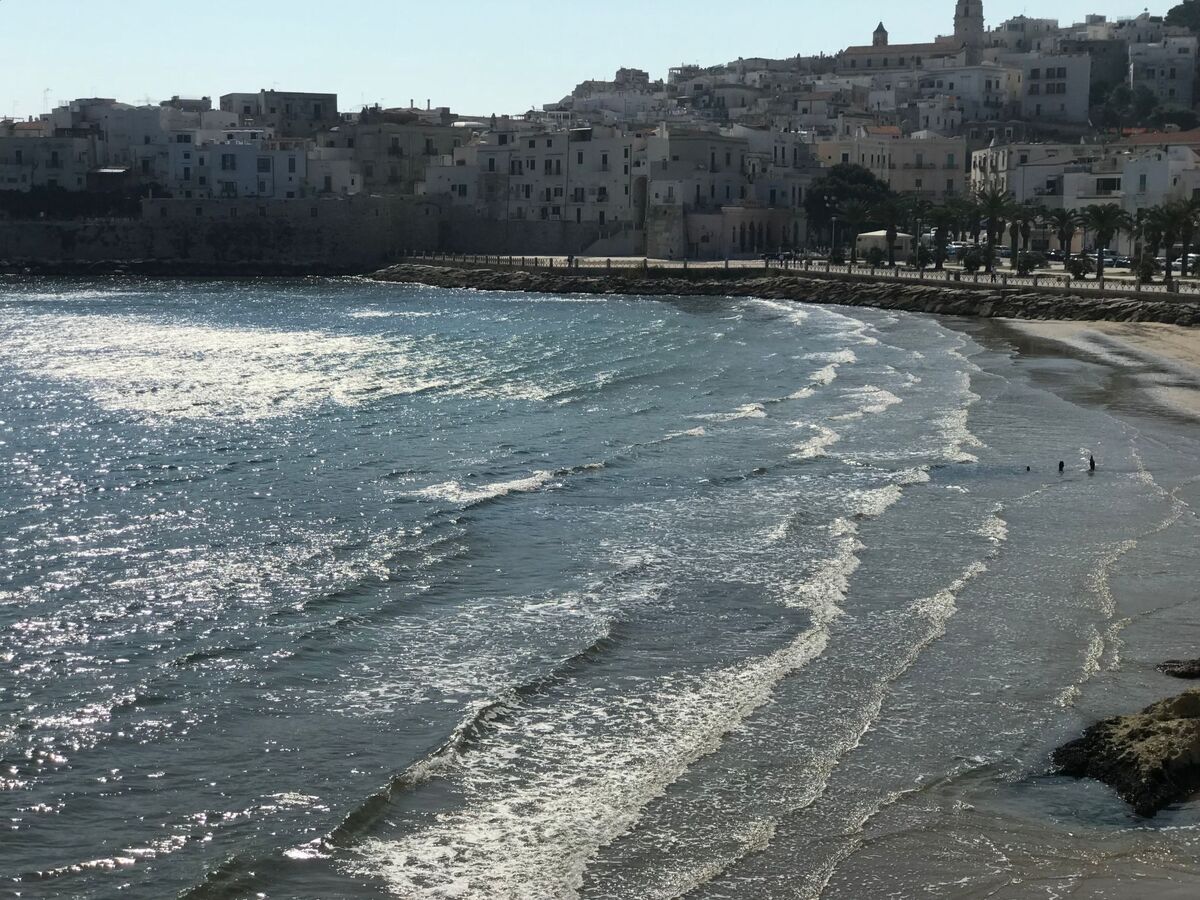 Appartement T2 à 70 m de la plage à Vieste - Photo 10