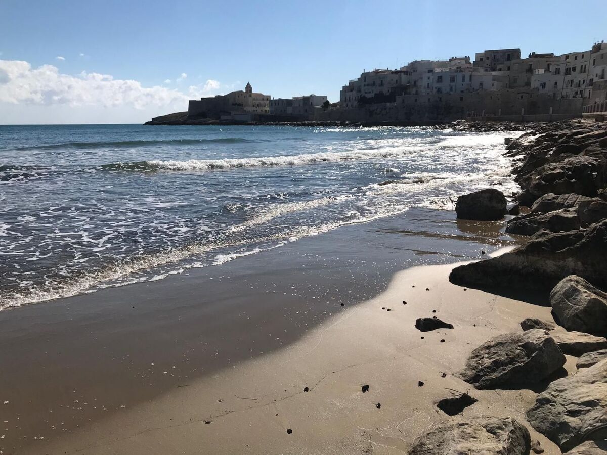 Studio 33 m² au cœur de Vieste, à 150 m de la plage - Photo 19