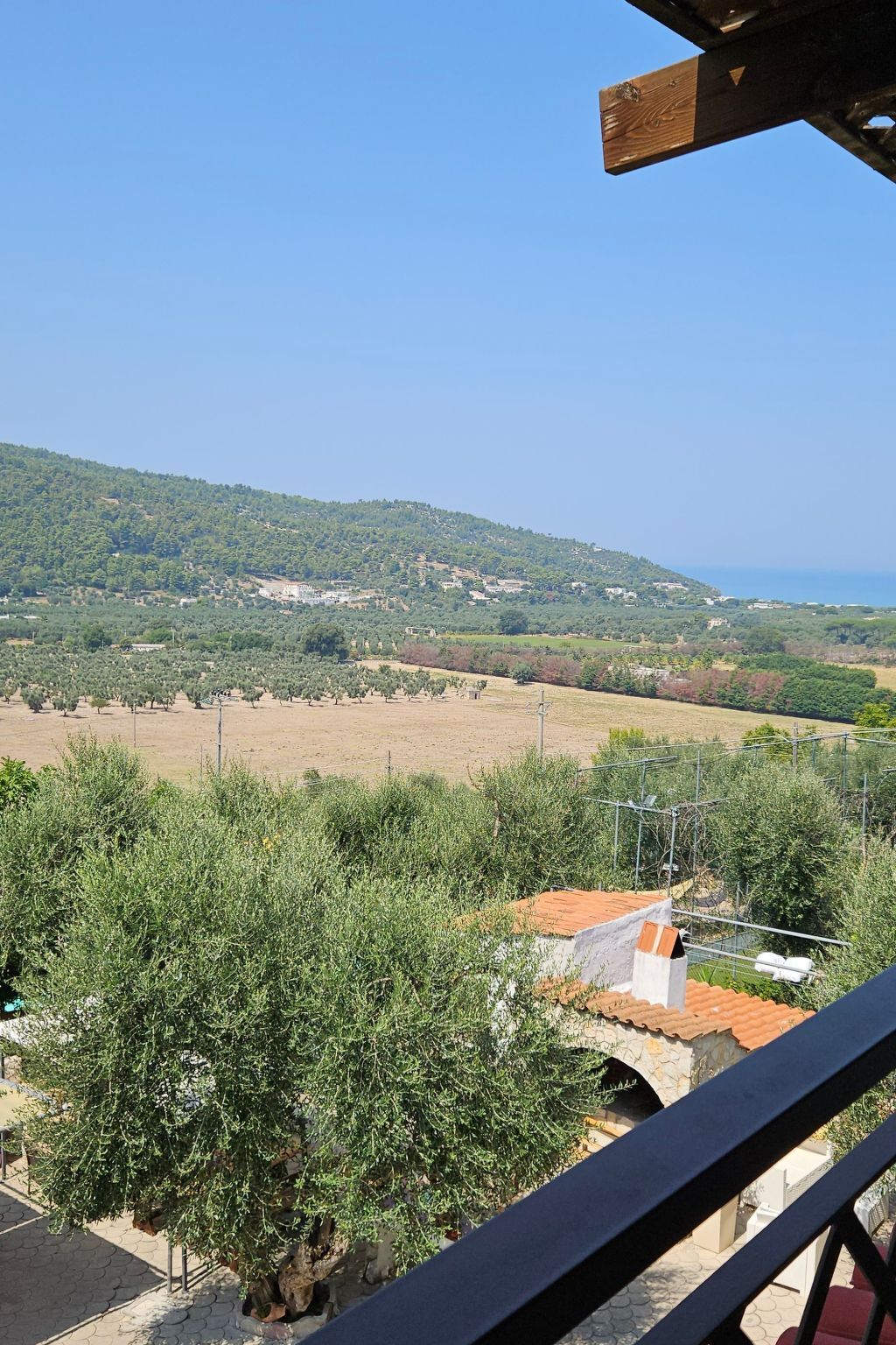 Appartement avec piscine et terrasse à Peschici - Photo 20