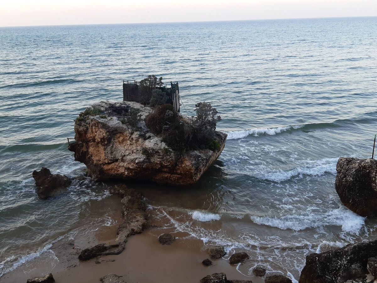 Appartement avec piscine et terrasse à Peschici - Photo 36