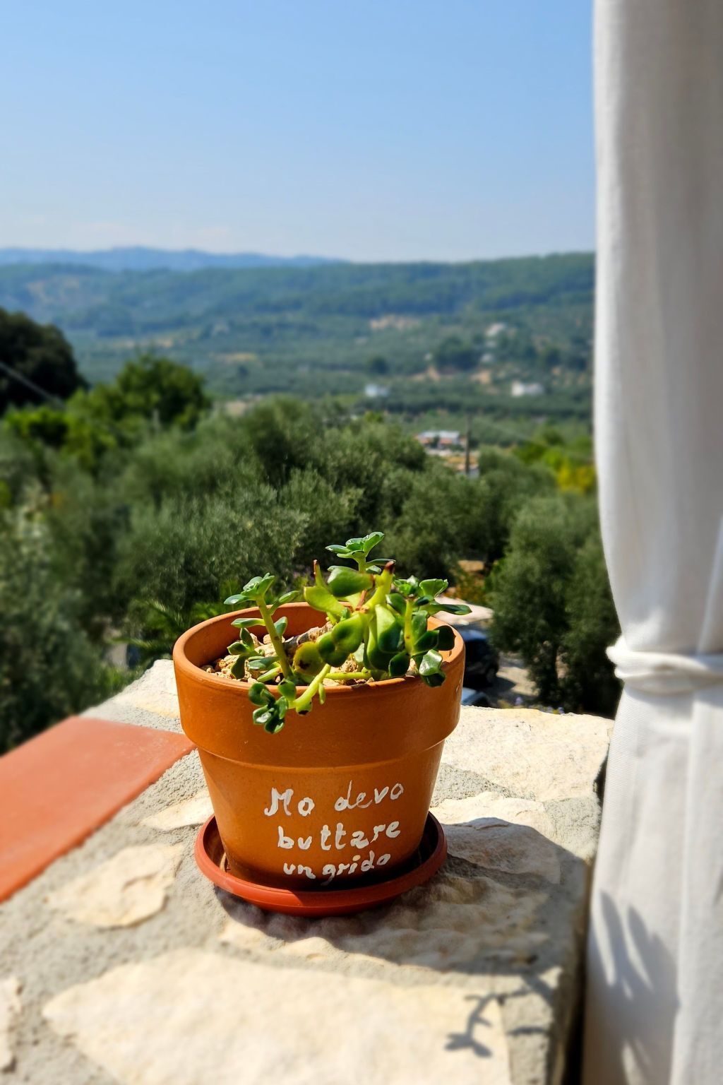 Appartement avec piscine et terrasse à Peschici - Photo 37