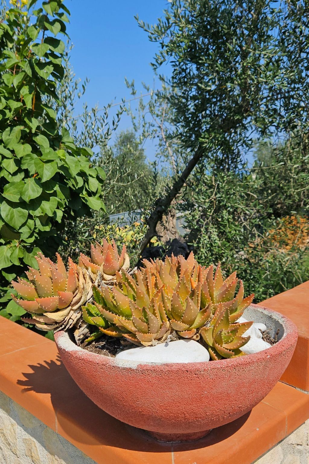 Appartement avec piscine et terrasse à Peschici - Photo 43