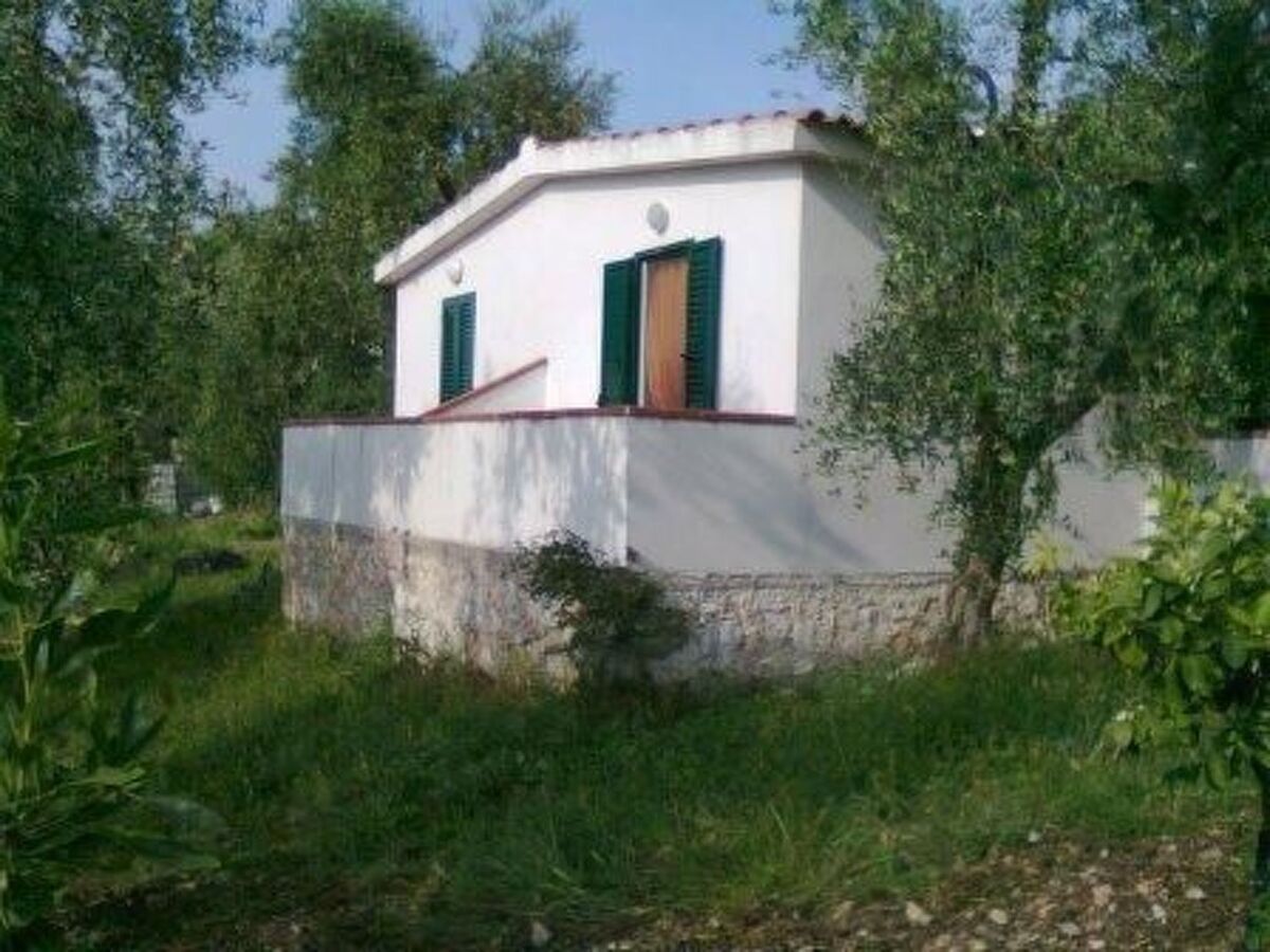 Appartement 2 pers. Peschici avec piscine panoramique - Photo 24